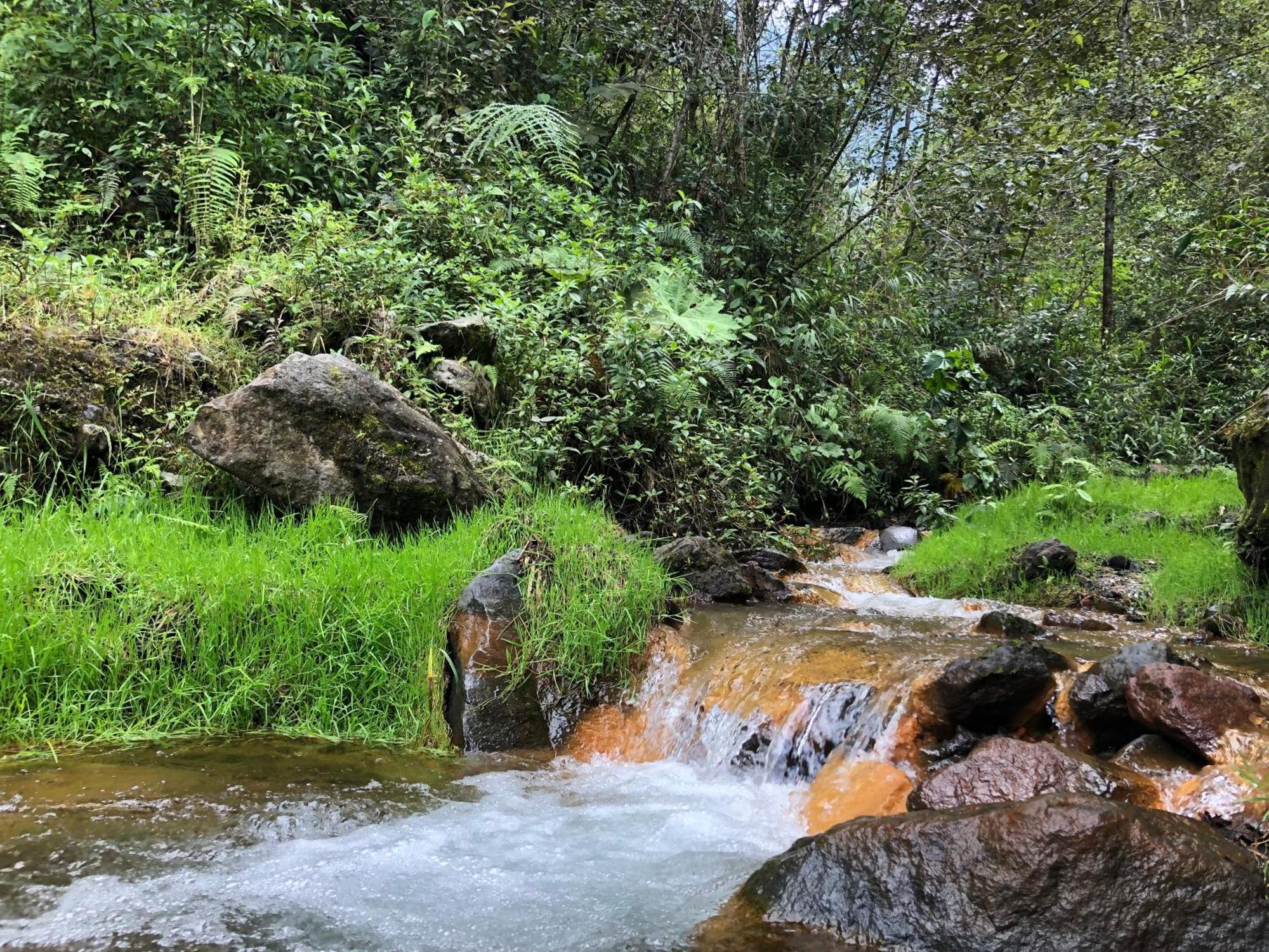 High-End Holiday Cabin - Tungurahua Hot Springs Baños Kültér fotó
